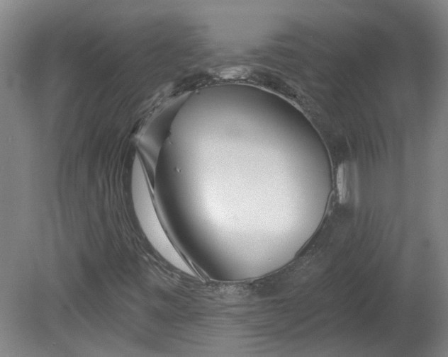X0000080791443200701021212