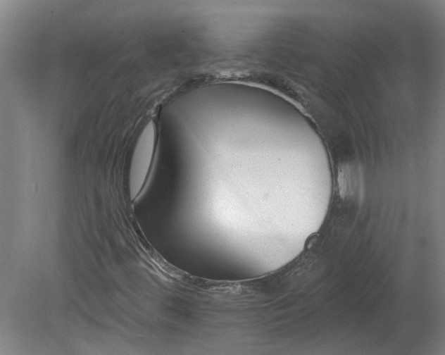 X0000080791444200701021212