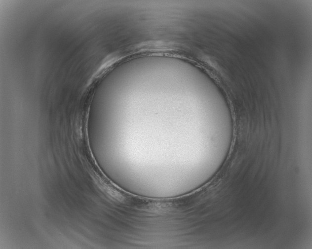 X0000080791451200701021211