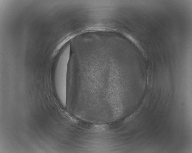 X0000080791453200701021211
