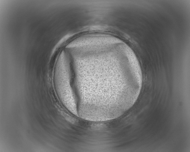 X0000080791454200701021211