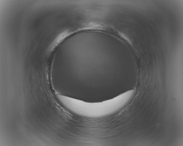 X0000080791455200701021211
