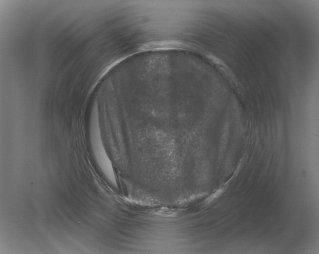 X0000080791457200701021211