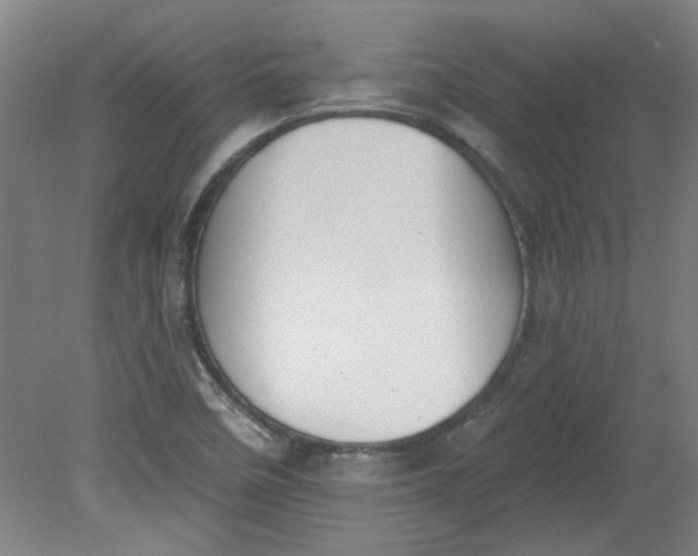 X0000080791458200701021211