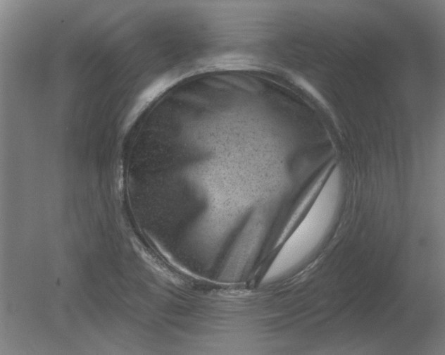 X0000080791461200701021211