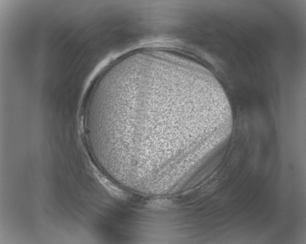X0000080791462200701021211