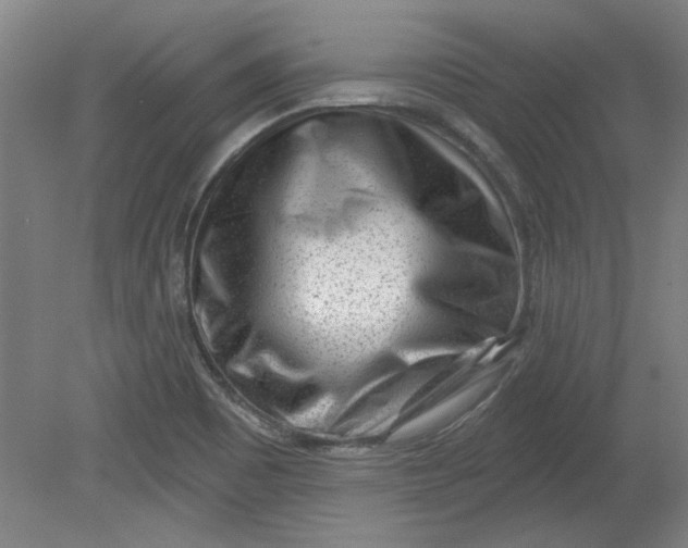 X0000080791465200701021211