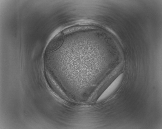 X0000080791467200701021211