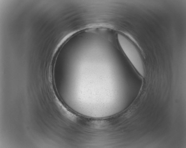 X0000080791468200701021211