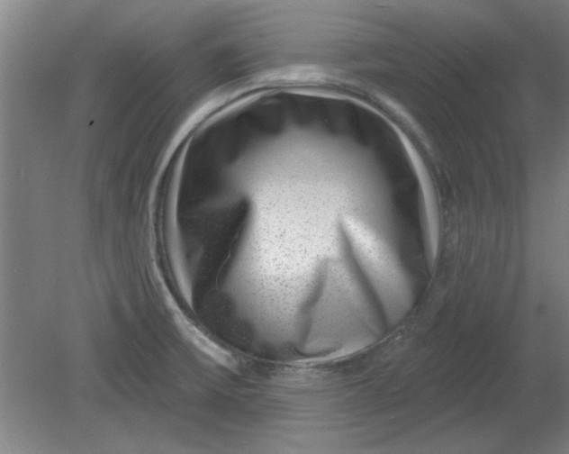 X0000080791475200701021211