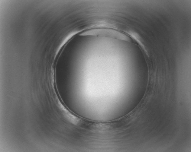 X0000080791476200701021211