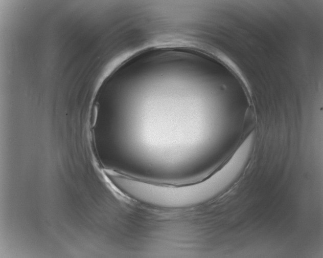 X0000080791485200701021211