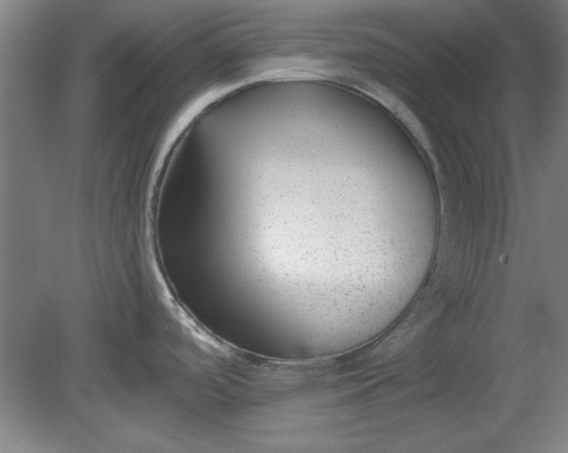 X0000080791488200701021211