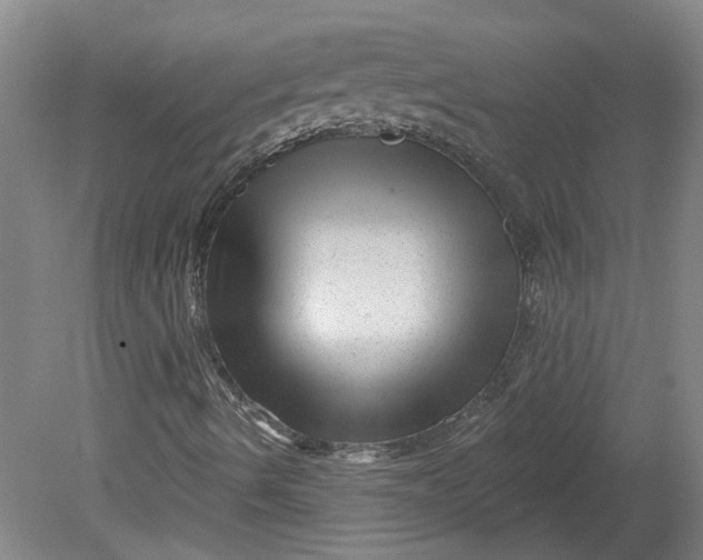 X0000080791490200701021210