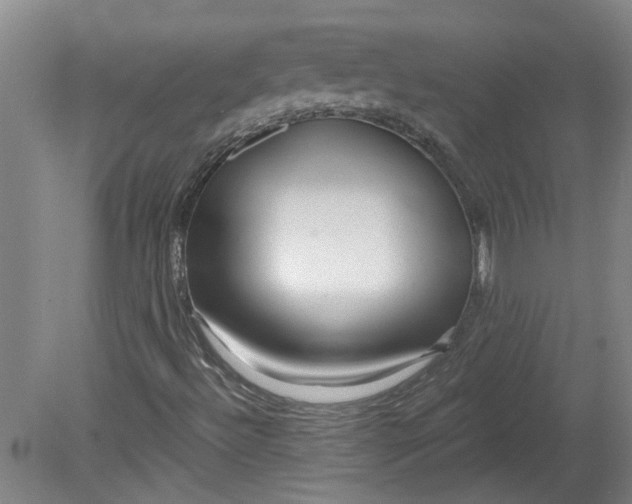 X0000080791492200701021210