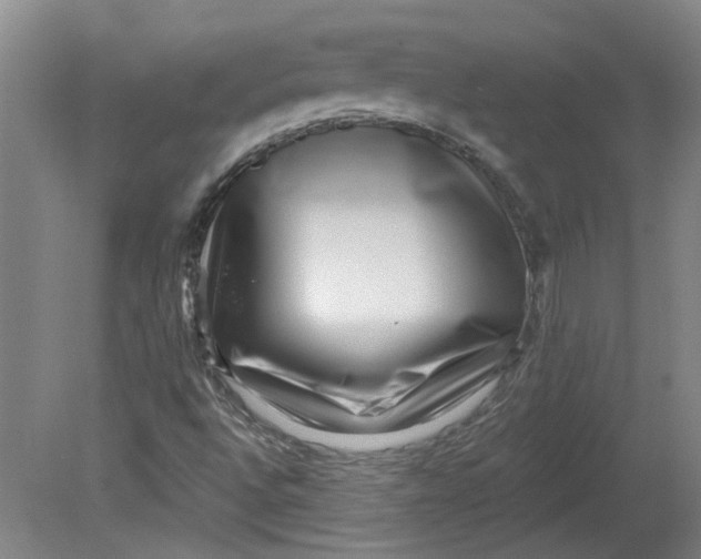 X0000080791496200701021210