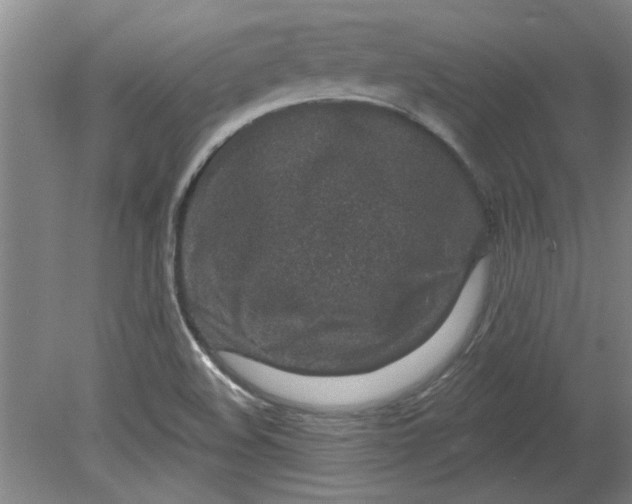 X0000080791508200701021210