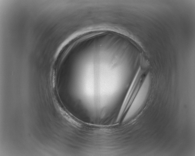 X0000080791510200701021210