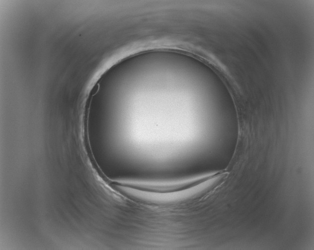 X0000080791512200701021210