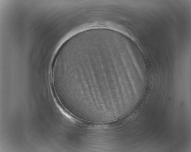 X0000080791519200701021211