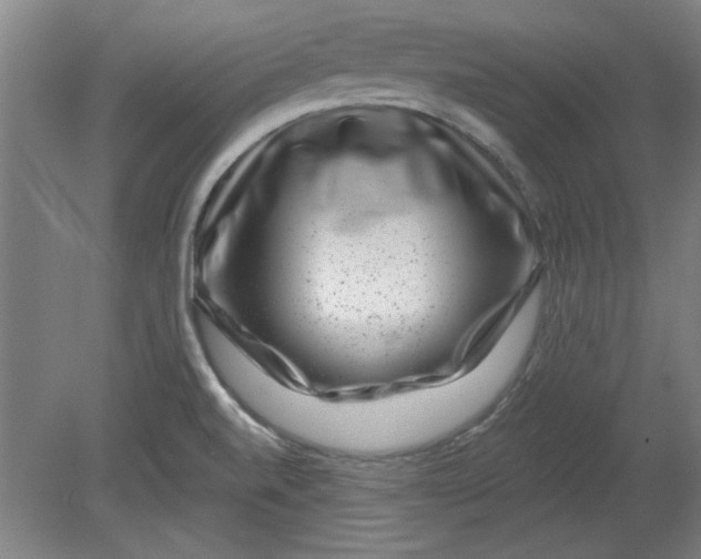 X0000080791520200701021211