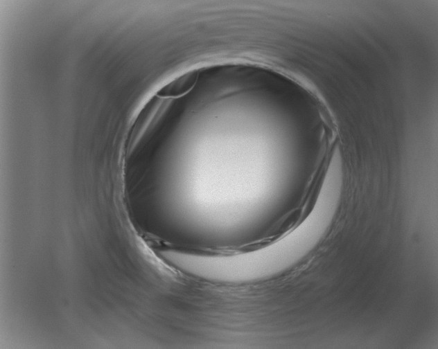 X0000080791524200701021211