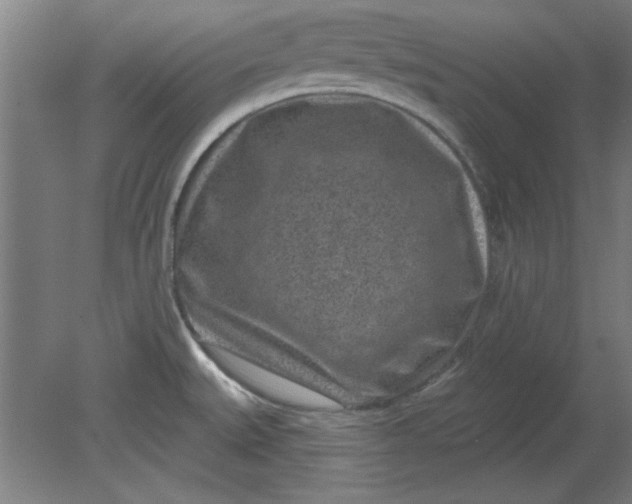 X0000080791527200701021211