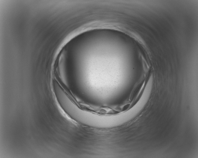X0000080791528200701021211