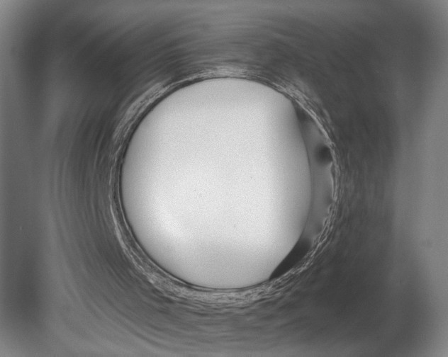 X0000080790001200701051405