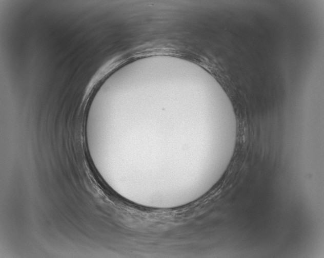 X0000080790004200701051405