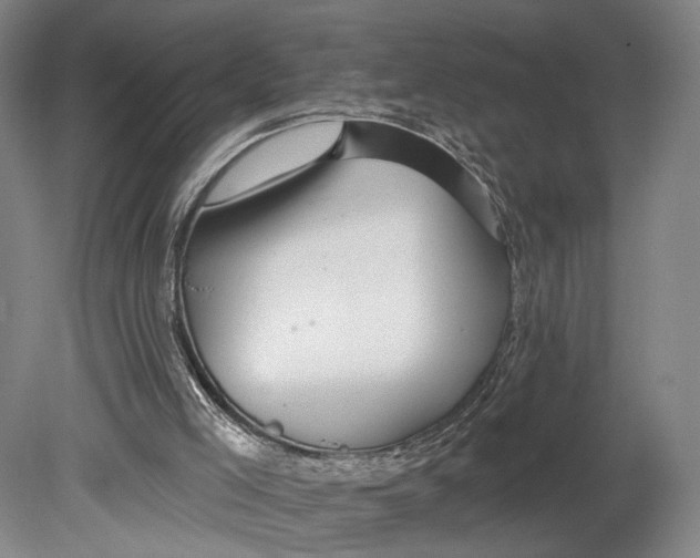 X0000080790005200701051405