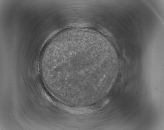 X0000080790012200701051405
