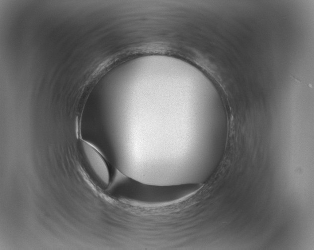 X0000080790013200701051405