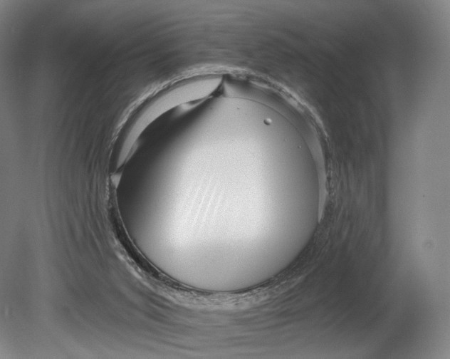 X0000080790015200701051405