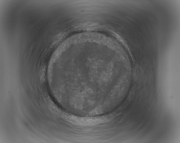 X0000080790018200701051405