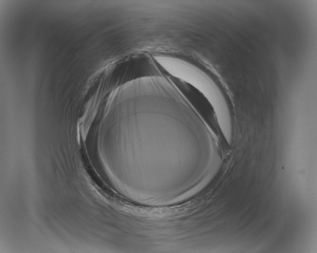 X0000080790019200701051405