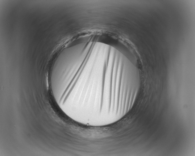 X0000080790020200701051405