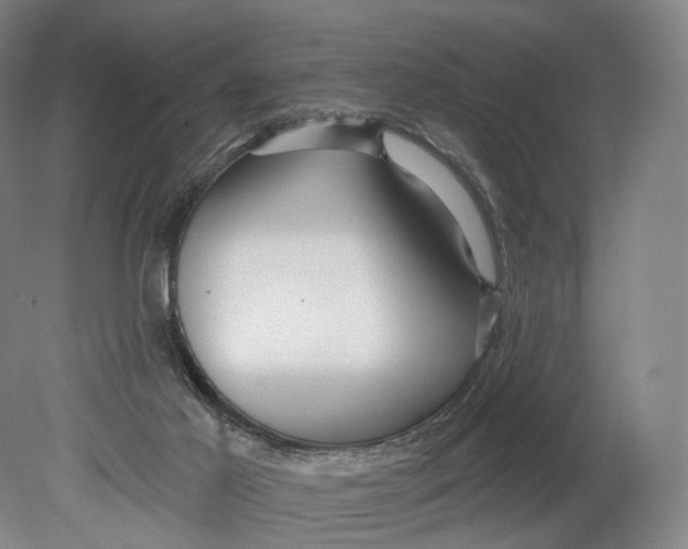 X0000080790021200701051405