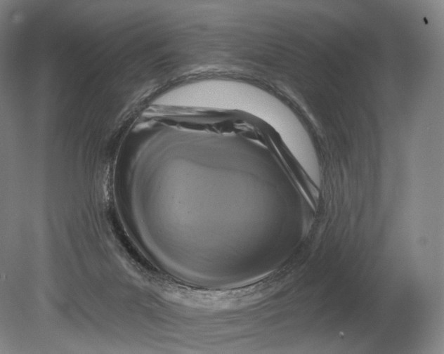 X0000080790023200701051405