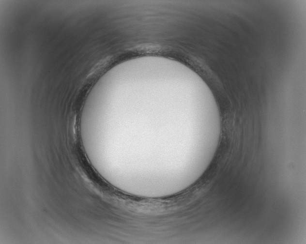 X0000080790024200701051405