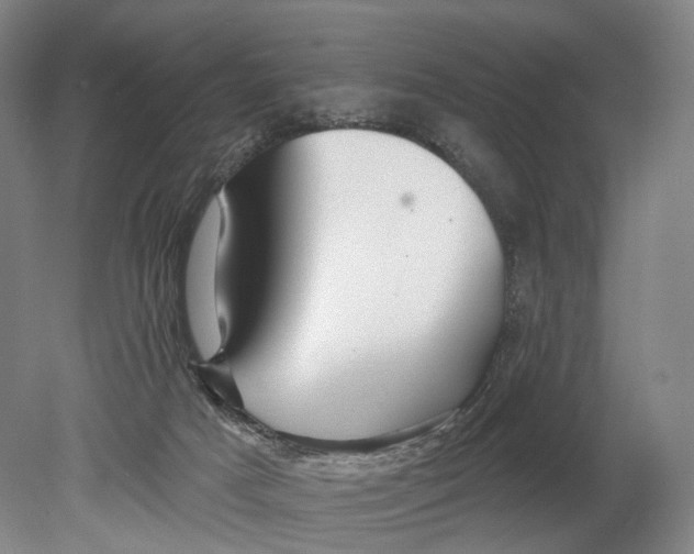 X0000080790025200701051405
