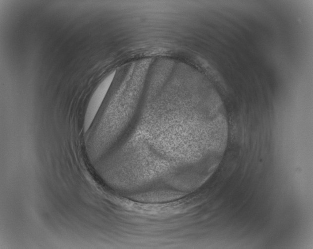 X0000080790026200701051405