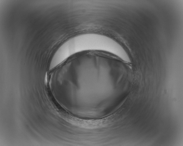 X0000080790027200701051405