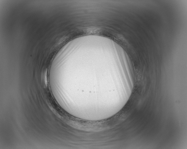 X0000080790028200701051405