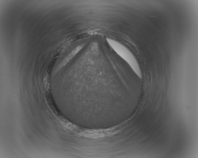 X0000080790029200701051405