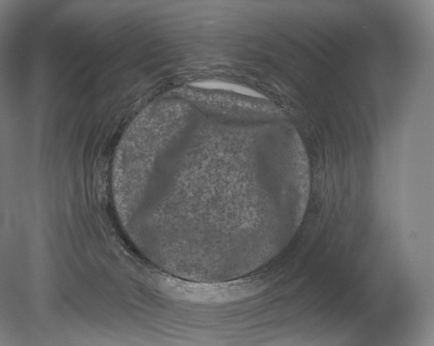 X0000080790030200701051405