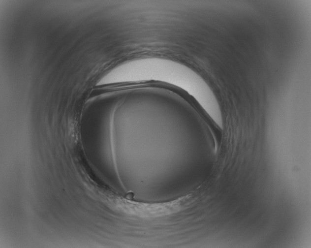 X0000080790031200701051405