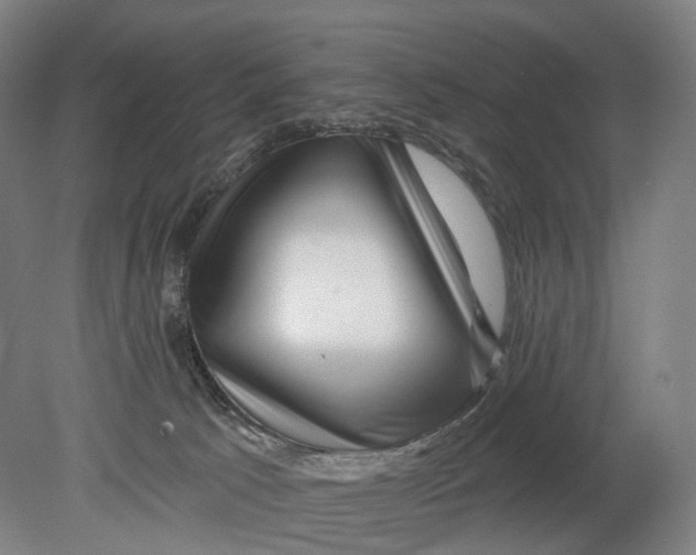 X0000080790033200701051405