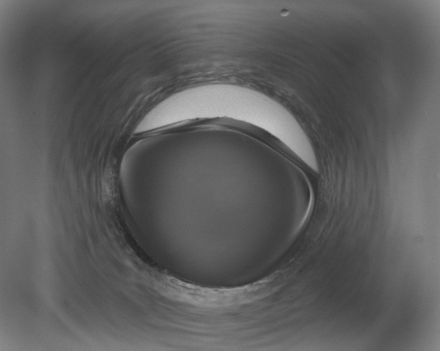 X0000080790035200701051405