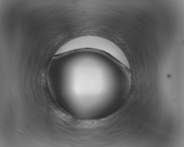 X0000080790037200701051405